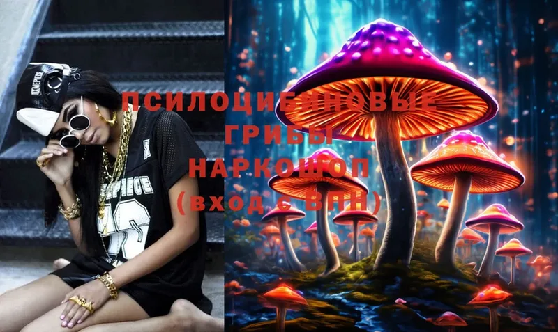 Галлюциногенные грибы Psilocybe  Арск 